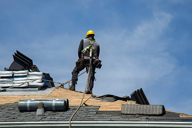 Professional Roof Replacement technician working in Hoffman, MN